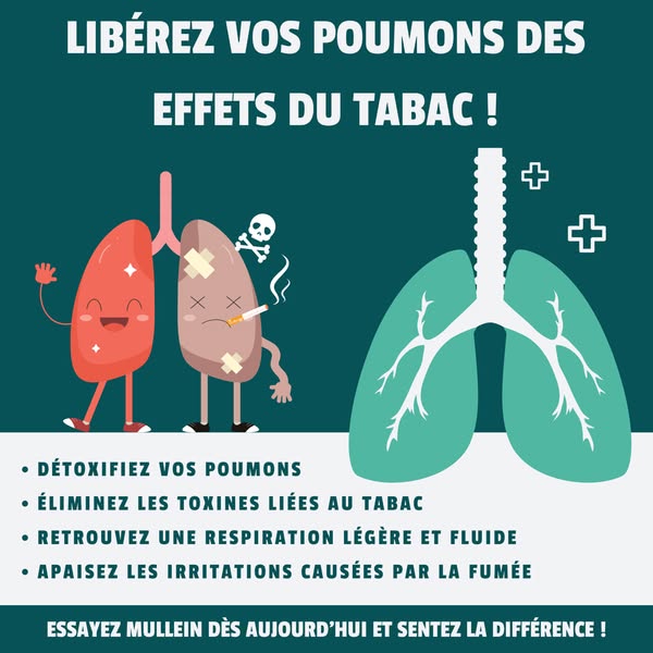 Gouttes pour les poumons à la molène