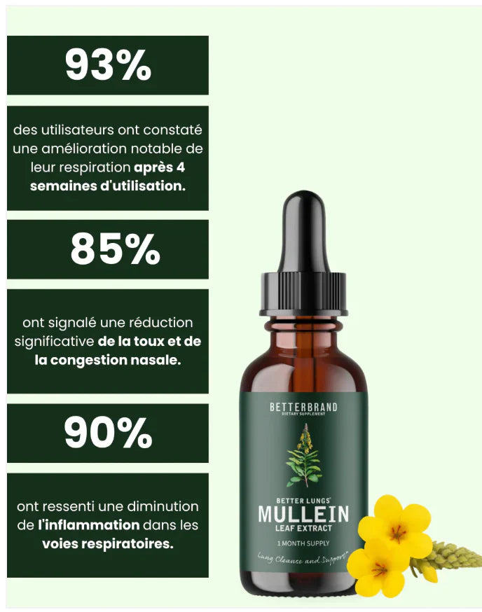 Gouttes pour les poumons à la molène