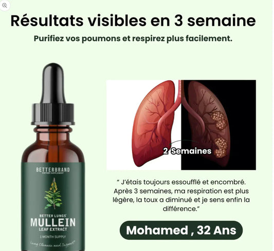 Gouttes pour les poumons à la molène