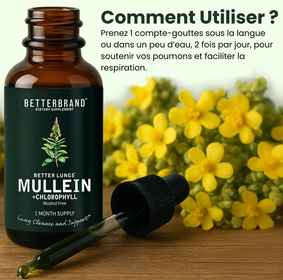 Gouttes pour les poumons à la molène